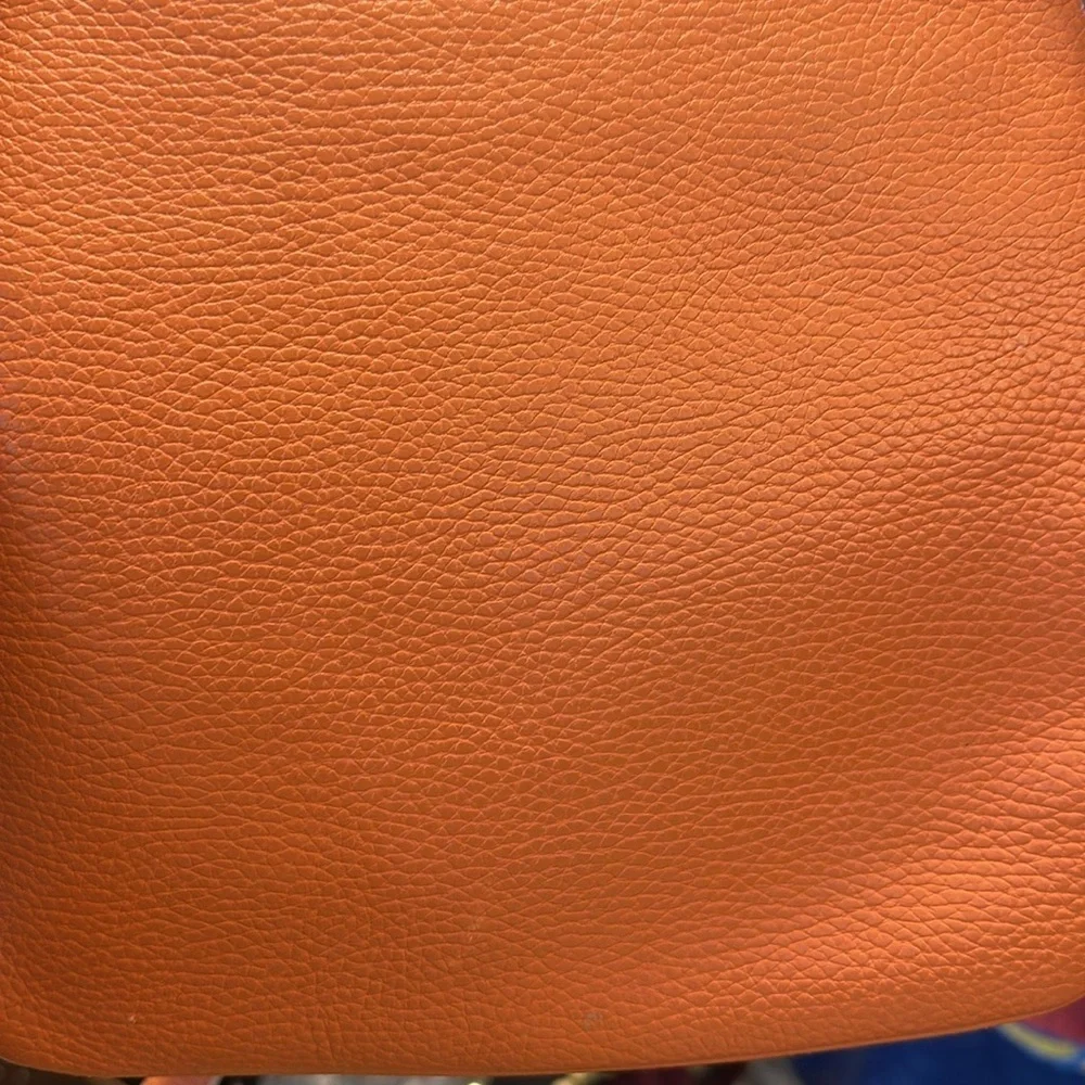 Vintage Loewe Senda Orange Pebbled Leather Logo Embossed Crossbody Bag